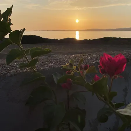 In Mit Grill Und Garten By Interhome Apartment Calasetta